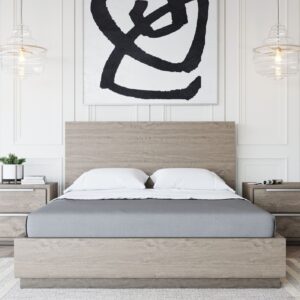 Queen Samson - Contemporary Grey & Silver Bedroom Set