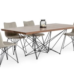 Naomi Modern Walnut Dining Table