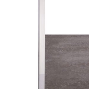 Arlene Modern Grey Elm & Stainless Steel Canopy Bed
