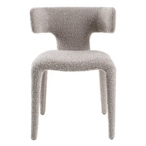 Robin Modern Dining Chair