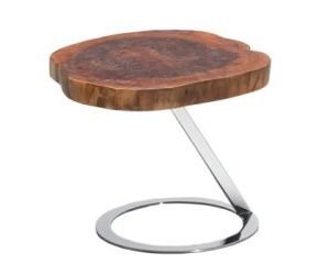 Everett Modern Live Edge Wood End Table