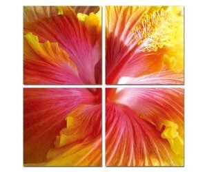 Hibiscus 4-Panel Photo on Canvas